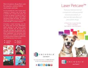 Brochure for laser petcare