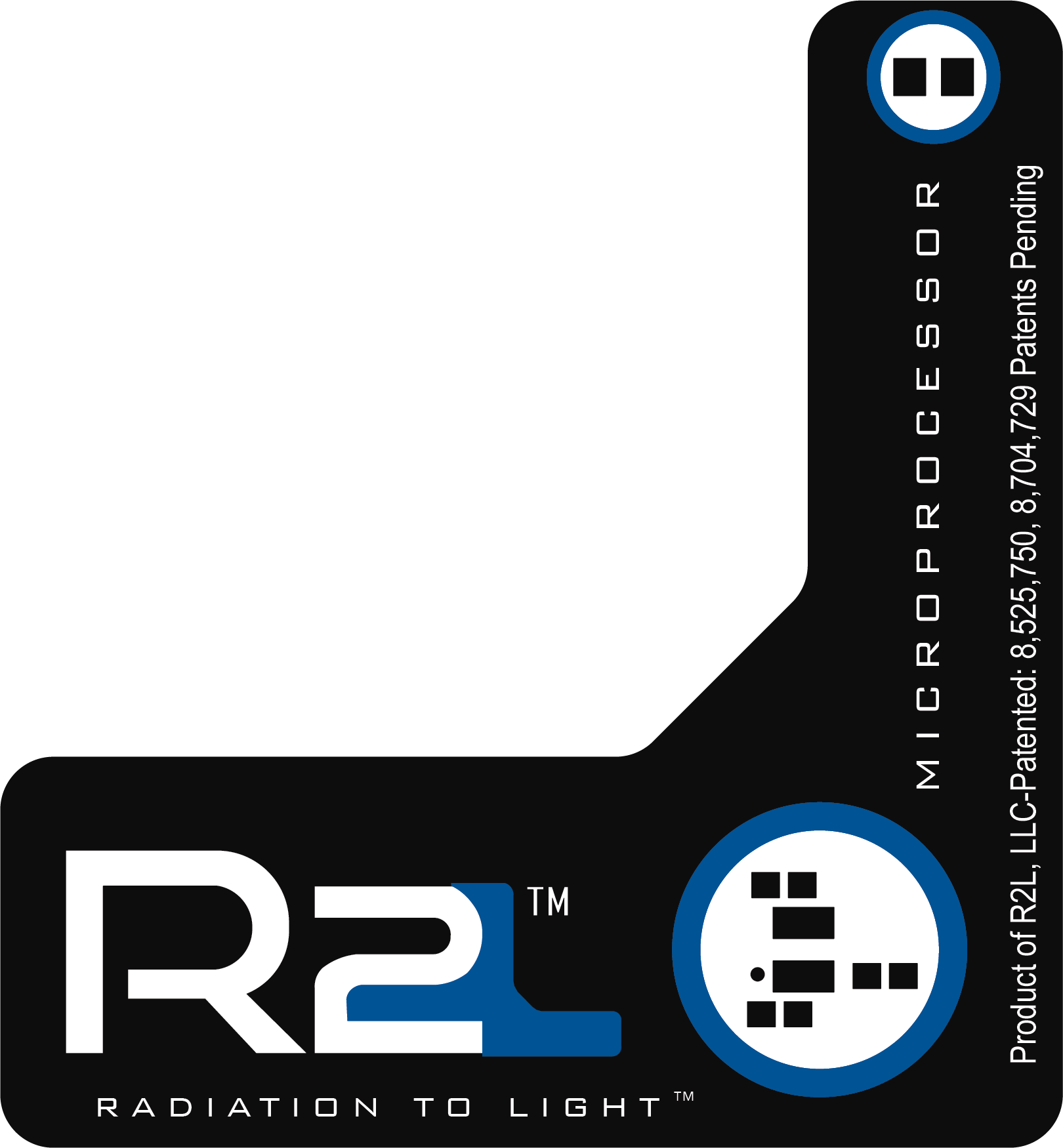 Graphic of the R2L Microprocessor