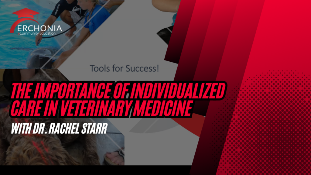 The Importance of Individualized  Care in Veterinary Medicine | Dr. Rachel Starr