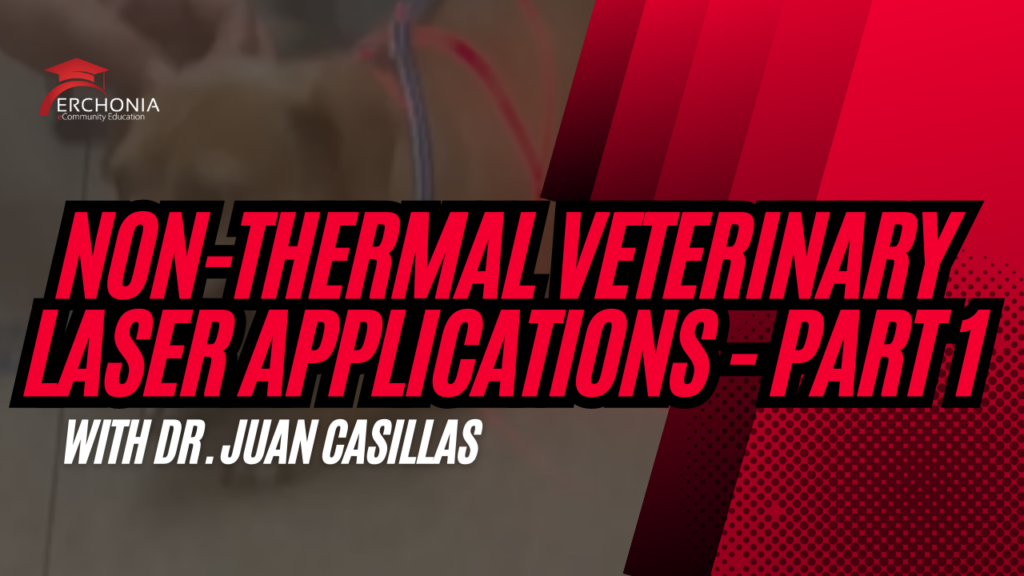 Non-Thermal Veterinary Laser Applications Pt.1 | Dr. Juan Casillas